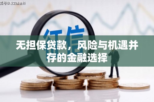 米东无担保贷款，风险与机遇并存的金融选择