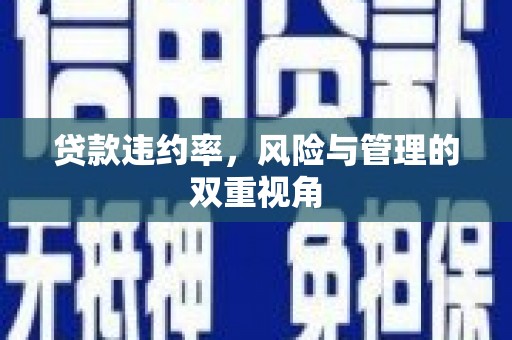 米东贷款违约率，风险与管理的双重视角