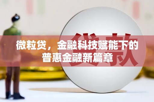 米东微粒贷，金融科技赋能下的普惠金融新篇章