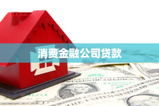 米东消费金融公司贷款