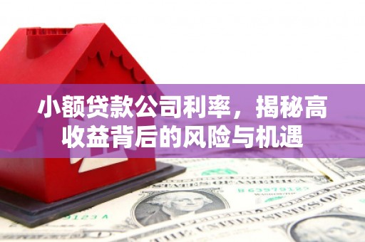 米东小额贷款公司利率，揭秘高收益背后的风险与机遇