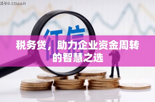 米东税务贷，助力企业资金周转的智慧之选