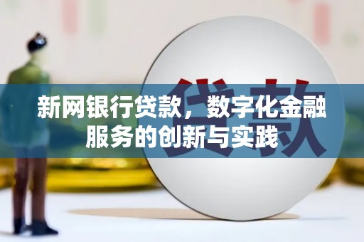 米东新网银行贷款，数字化金融服务的创新与实践