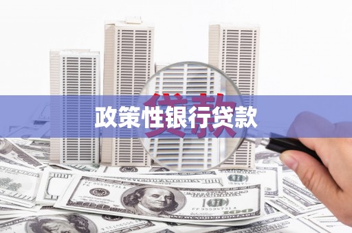 米东政策性银行贷款