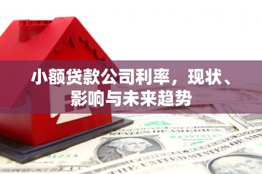 米东小额贷款公司利率，现状、影响与未来趋势