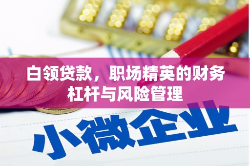 米东白领贷款，职场精英的财务杠杆与风险管理