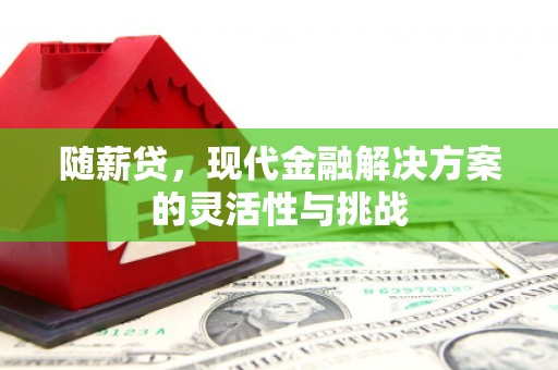 米东随薪贷，现代金融解决方案的灵活性与挑战