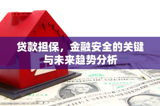 米东贷款担保，金融安全的关键与未来趋势分析