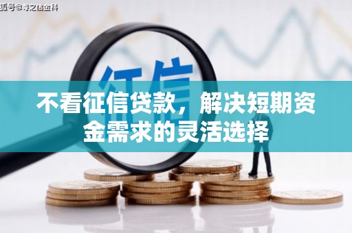 米东不看征信贷款，解决短期资金需求的灵活选择