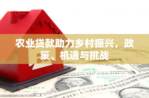 米东农业贷款助力乡村振兴，政策、机遇与挑战