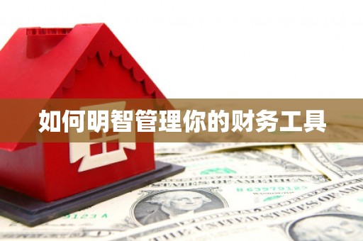 米东如何明智管理你的财务工具