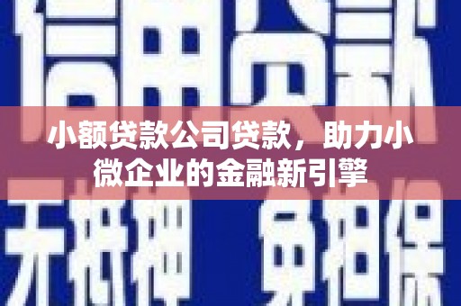 米东小额贷款公司贷款，助力小微企业的金融新引擎