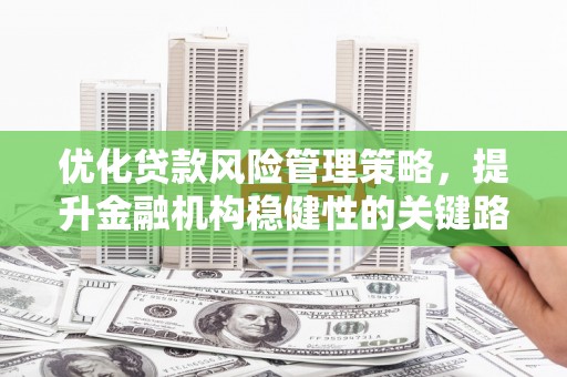 米东优化贷款风险管理策略，提升金融机构稳健性的关键路径