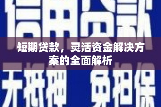 米东短期贷款，灵活资金解决方案的全面解析