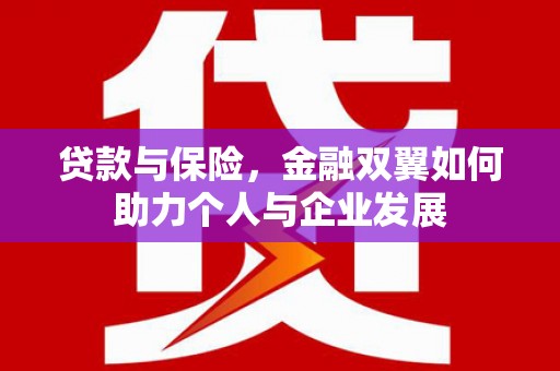 米东贷款与保险，金融双翼如何助力个人与企业发展