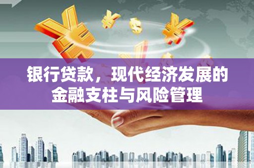 米东银行贷款，现代经济发展的金融支柱与风险管理