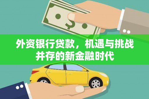 米东外资银行贷款，机遇与挑战并存的新金融时代