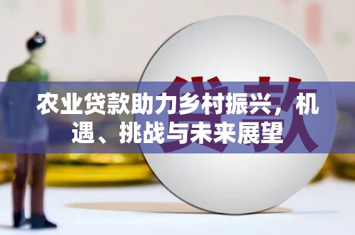 米东农业贷款助力乡村振兴，机遇、挑战与未来展望
