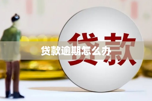 米东贷款逾期怎么办