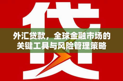 米东外汇贷款，全球金融市场的关键工具与风险管理策略