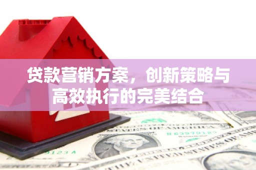 米东贷款营销方案，创新策略与高效执行的完美结合