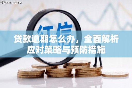 米东贷款逾期怎么办，全面解析应对策略与预防措施