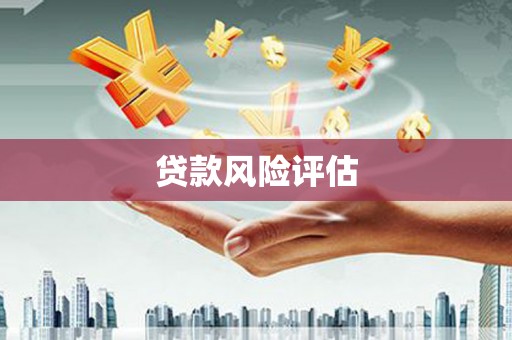 米东贷款风险评估