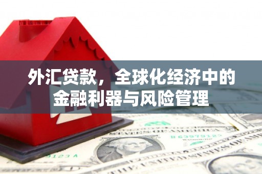 米东外汇贷款，全球化经济中的金融利器与风险管理