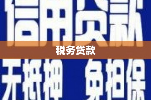 米东税务贷款