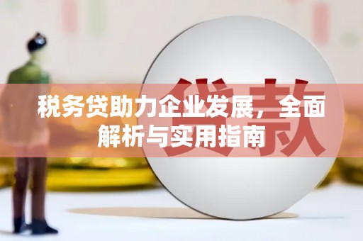 米东税务贷助力企业发展，全面解析与实用指南