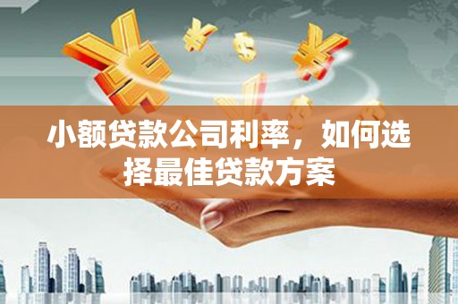 米东小额贷款公司利率，如何选择最佳贷款方案
