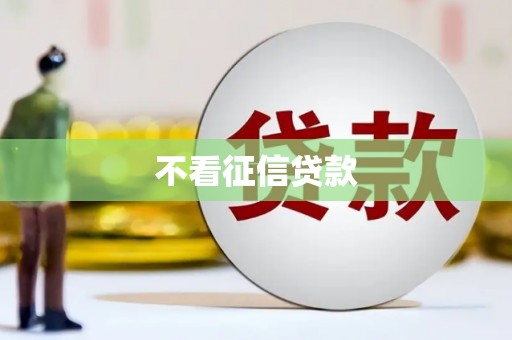 米东不看征信贷款