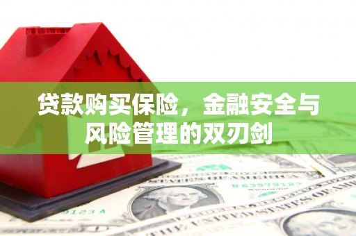 米东贷款购买保险，金融安全与风险管理的双刃剑