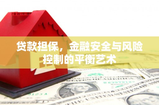 米东贷款担保，金融安全与风险控制的平衡艺术