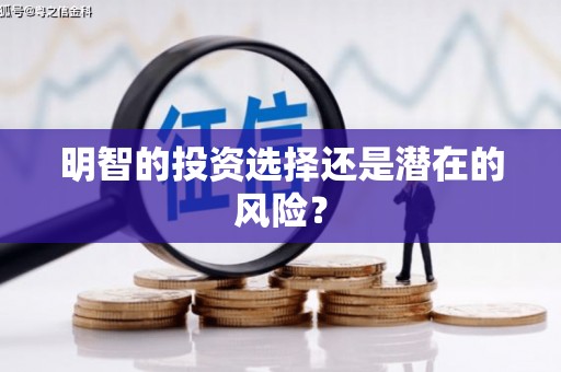 米东明智的投资选择还是潜在的风险？