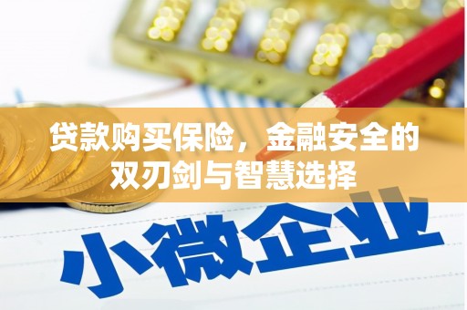 米东贷款购买保险，金融安全的双刃剑与智慧选择