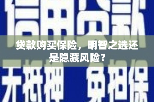 米东贷款购买保险，明智之选还是隐藏风险？