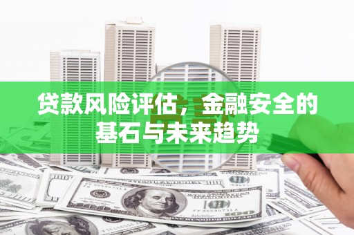 米东贷款风险评估，金融安全的基石与未来趋势