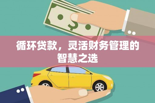 米东循环贷款，灵活财务管理的智慧之选