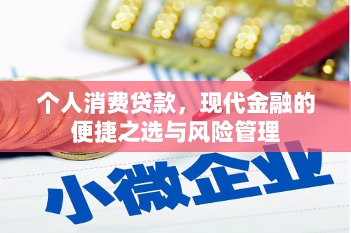 米东个人消费贷款，现代金融的便捷之选与风险管理