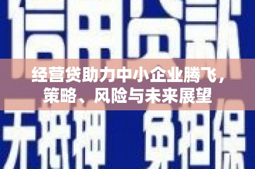 米东经营贷助力中小企业腾飞，策略、风险与未来展望