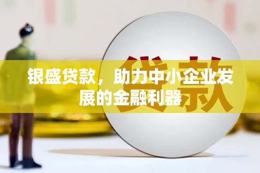 米东银盛贷款，助力中小企业发展的金融利器
