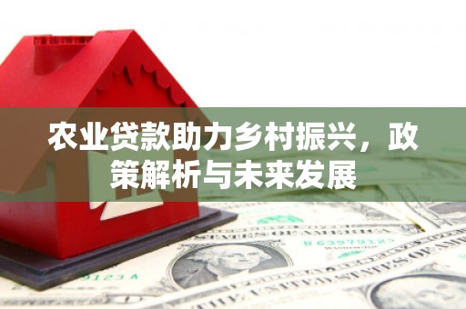 米东农业贷款助力乡村振兴，政策解析与未来发展