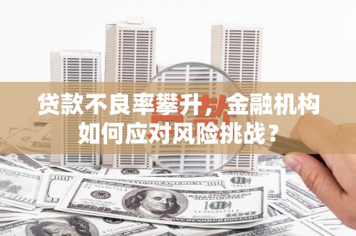 米东贷款不良率攀升，金融机构如何应对风险挑战？