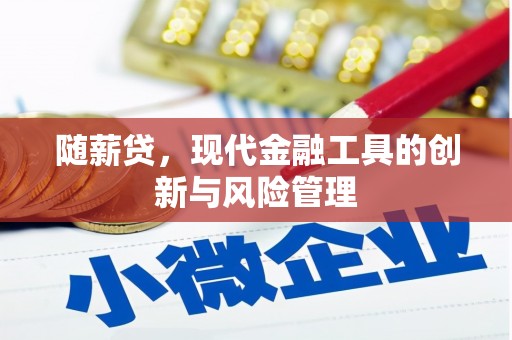 米东随薪贷，现代金融工具的创新与风险管理