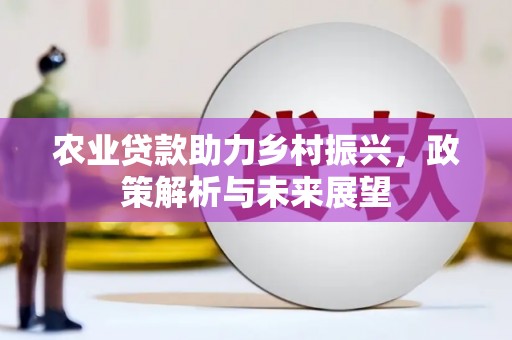米东农业贷款助力乡村振兴，政策解析与未来展望