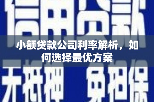 米东小额贷款公司利率解析，如何选择最优方案