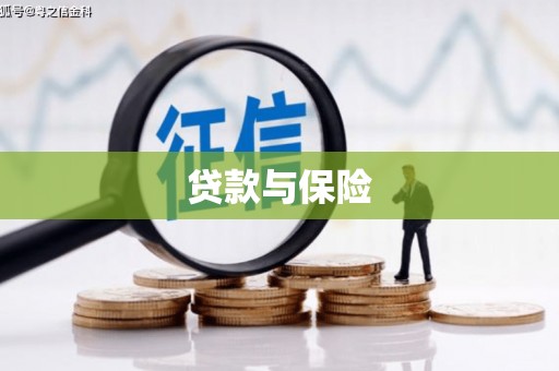 米东贷款与保险