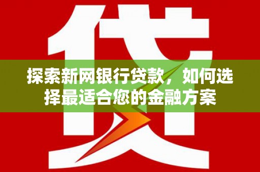 米东探索新网银行贷款，如何选择最适合您的金融方案