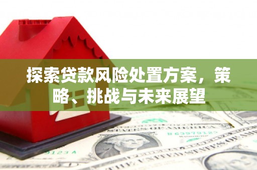 米东探索贷款风险处置方案，策略、挑战与未来展望